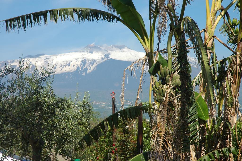 Agriturismo Dell'Etna Riposto Luaran gambar